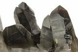 Smoky Quartz Crystal Cluster - Brazil #255395-1